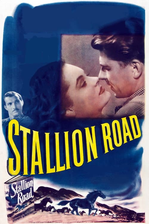Affiche du film Stallion Road (1947)