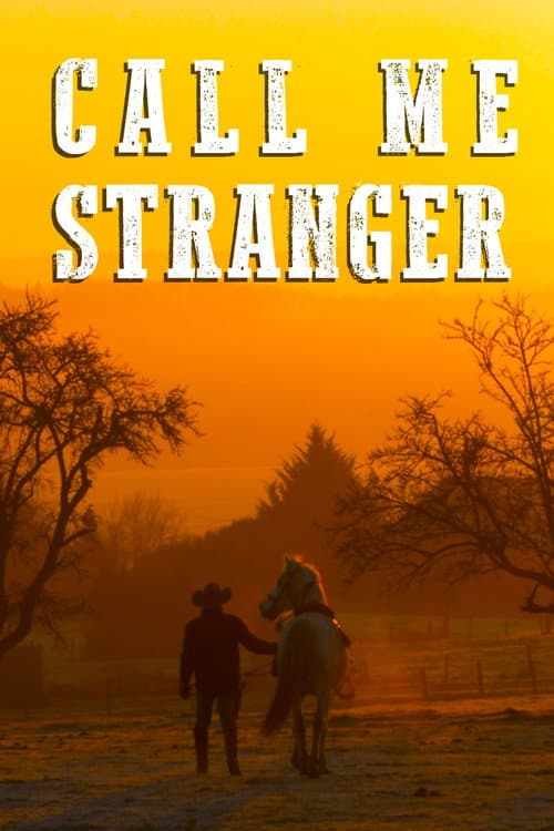Call Me Stranger (2025) movie poster