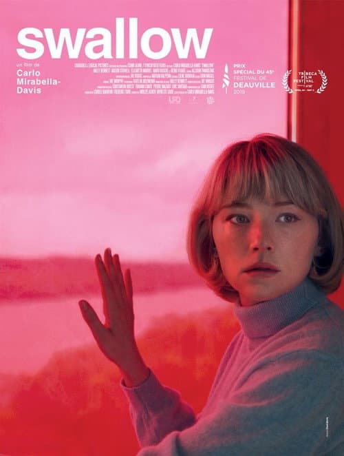 Affiche du film Swallow (2020)