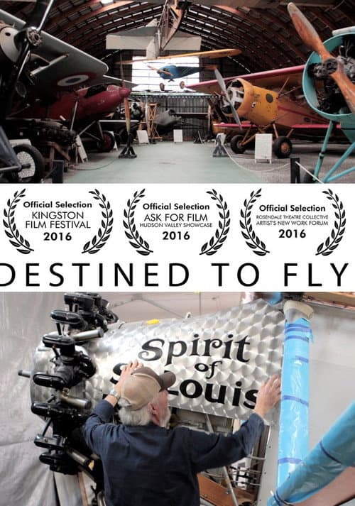 Destined to Fly movie poster
