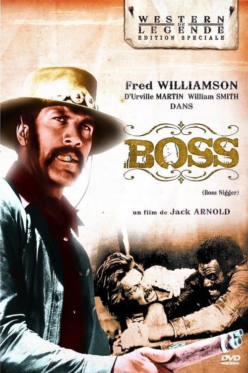 Affiche du film Boss Nigger (1975)