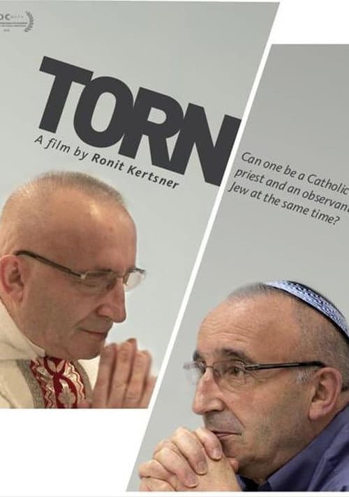 קרוע (2011) movie poster