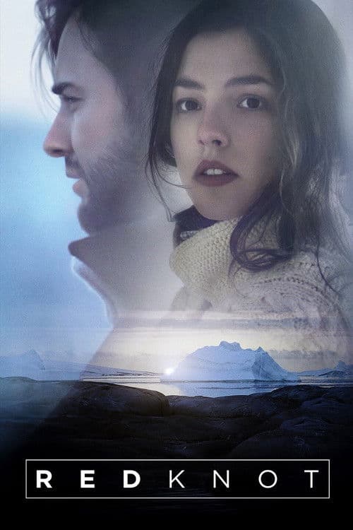 Affiche du film Red Knot (2014)