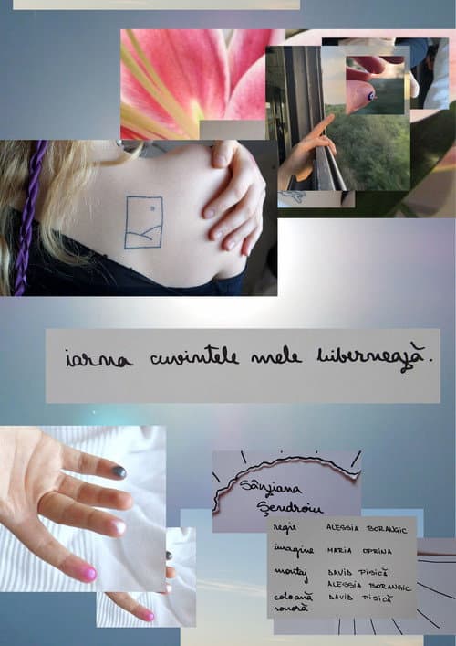 Affiche du film iarna cuvintele mele hibernează (2024)