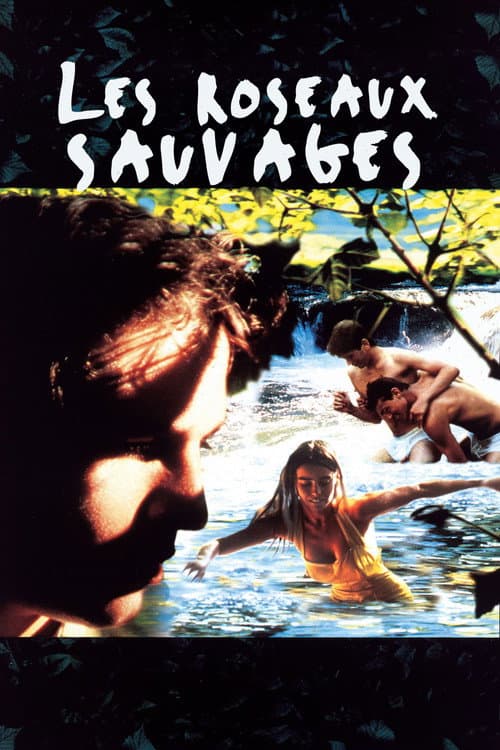 Affiche du film Les Roseaux sauvages (1994)