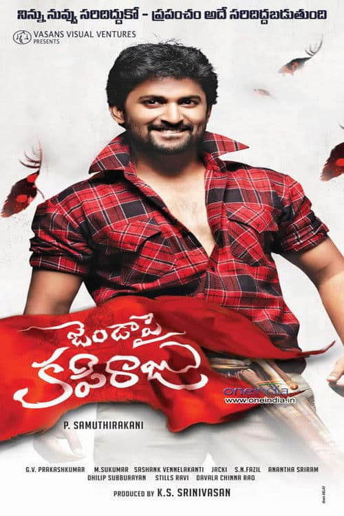 జెండాపై కపిరాజు (2015) movie poster