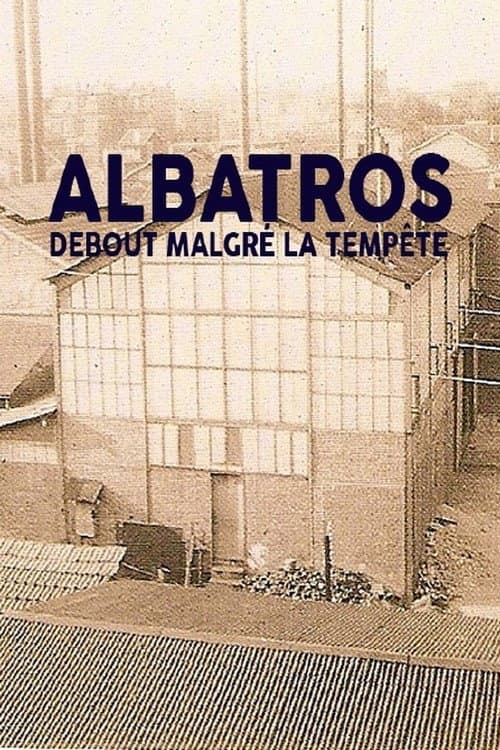 Affiche du film Albatros, debout malgré la tempête (2010)
