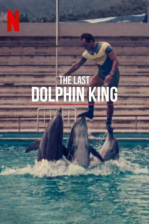 ¿Qué le pasó al rey de los delfines? (2022) movie poster