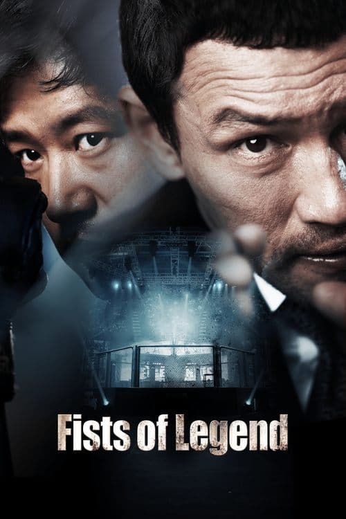 전설의 주먹 (2013) movie poster
