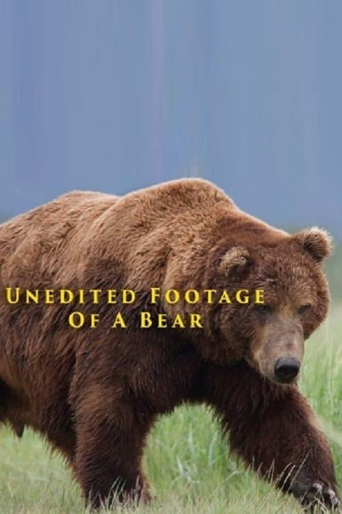 Affiche du film Unedited Footage of a Bear (2014)