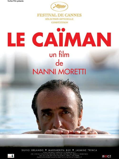Affiche du film Il caimano (2006)