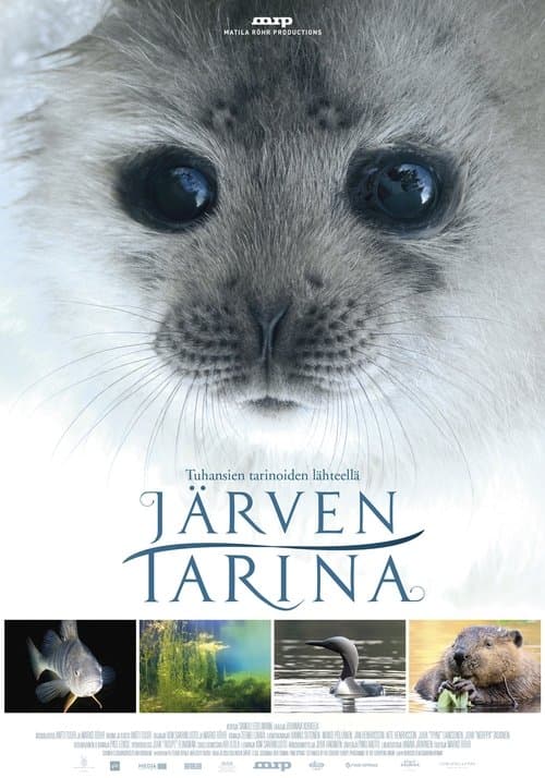 Affiche du film Järven tarina (2016)