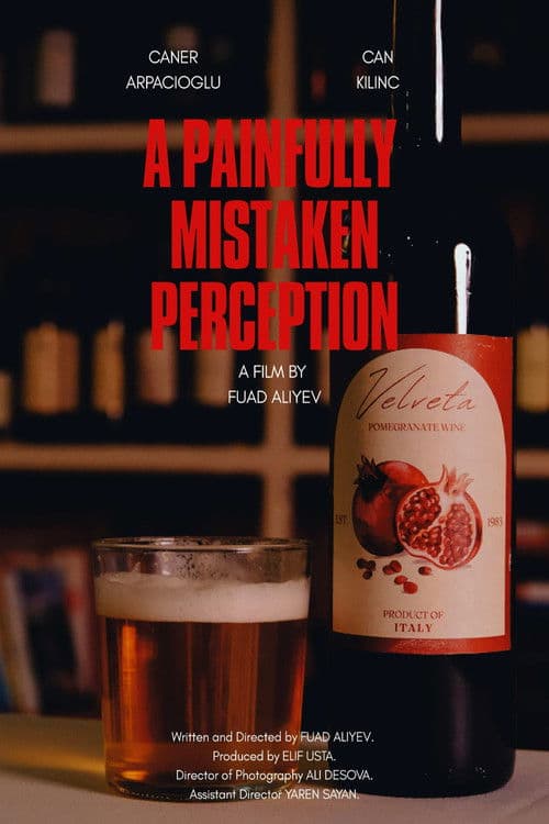 A Painfully Mistaken Perception (2026) movie poster