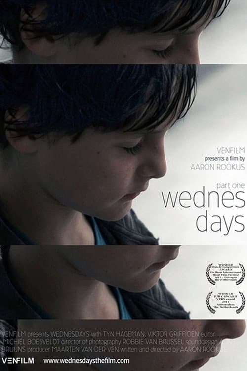 Woensdagen (2011) movie poster