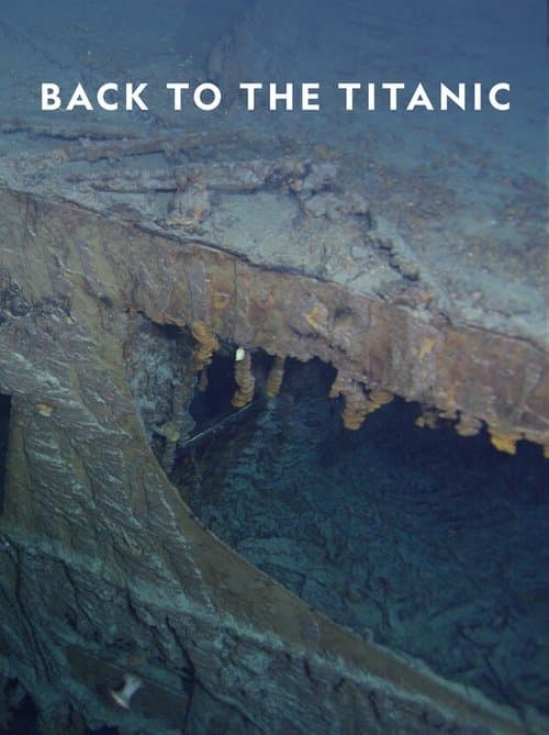 Back to the Titanic (2020) movie poster