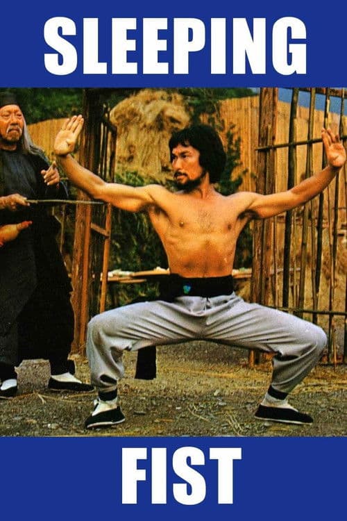 睡拳怪招 (1979) movie poster
