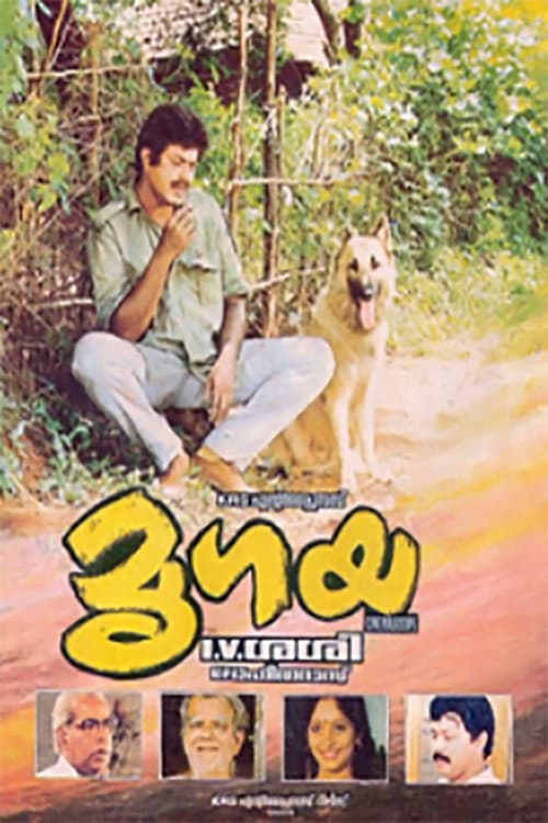 Affiche du film മൃഗയ (1989)