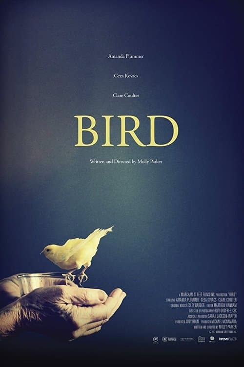 Affiche du film Bird (2017)