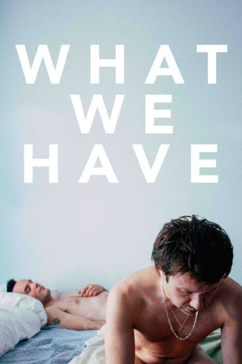 What We Have (2014) movie poster