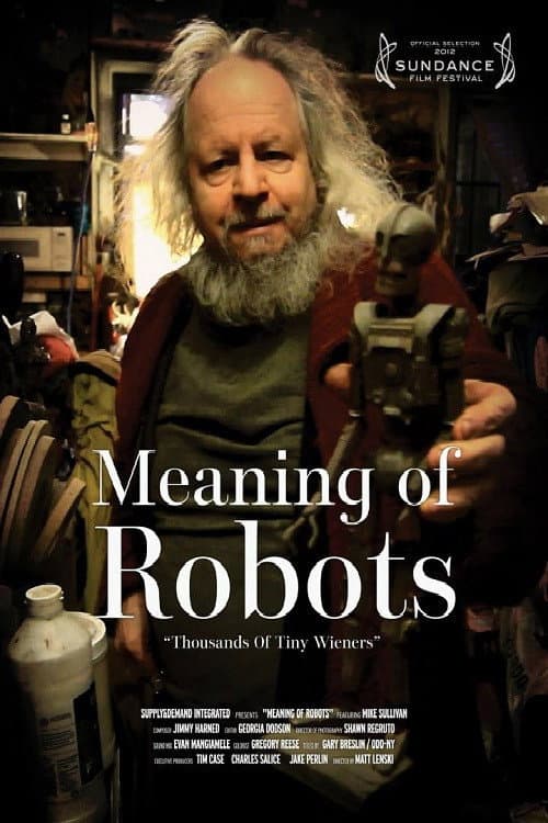 Meaning of Robots (2012) movie poster