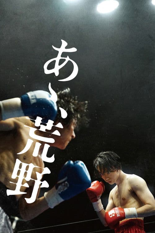 ملصق فيلم あゝ、荒野 後篇 (2017)