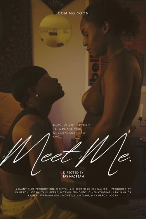 Meet Me. (2025) movie poster