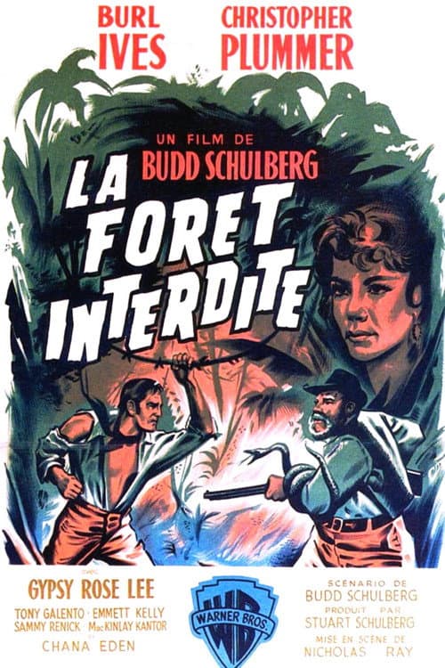 Affiche du film Wind Across the Everglades (1958)