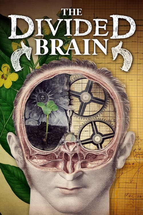 The Divided Brain (2019) movie poster