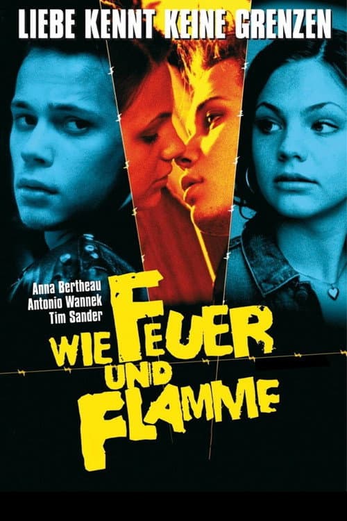 Affiche du film Wie Feuer und Flamme (2001)