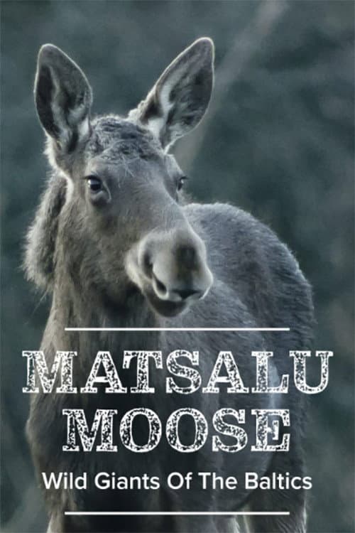 Erlebnis Erde: Die Elche von Matsalu – Estlands wilde Riesen (2019) movie poster
