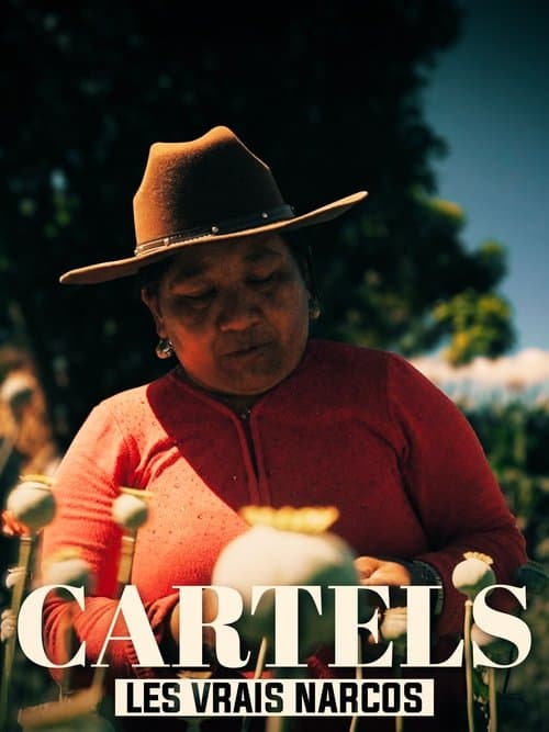Affiche du film Les vrais Narcos (2020)