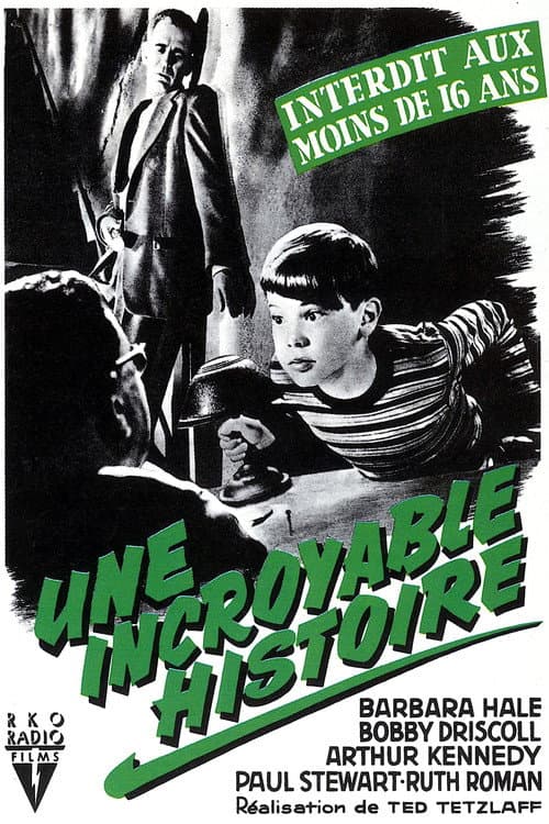 Affiche du film The Window (1949)