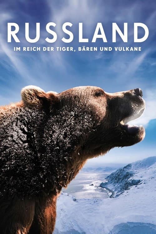 Russland - Im Reich der Tiger, Bären und Vulkane (2011) movie poster