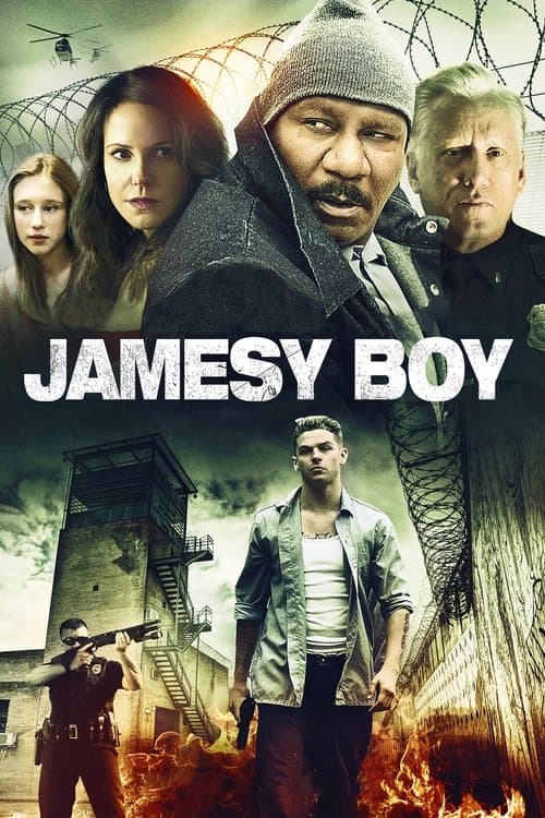 Affiche du film Jamesy Boy (2014)