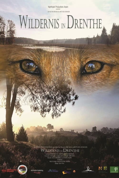 Wildernis in Drenthe (2016) movie poster