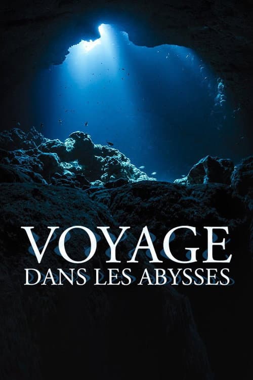 ملصق فيلم Voyage dans les abysses (2016)