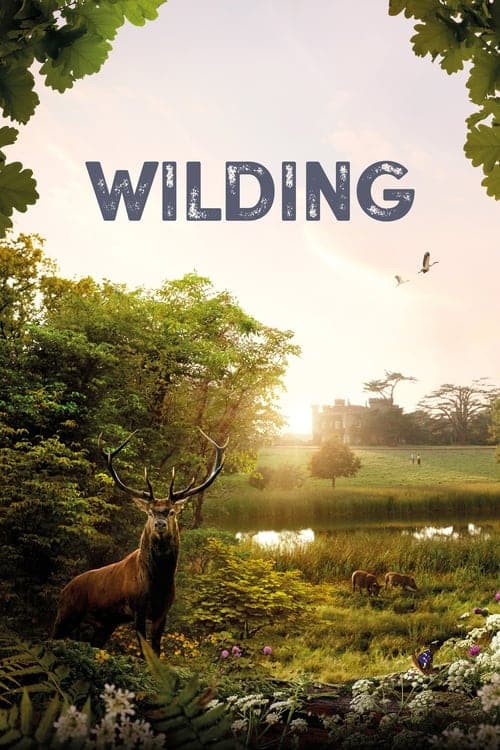 ملصق فيلم Wilding (2024)
