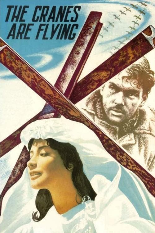 Летят журавли (1957) movie poster
