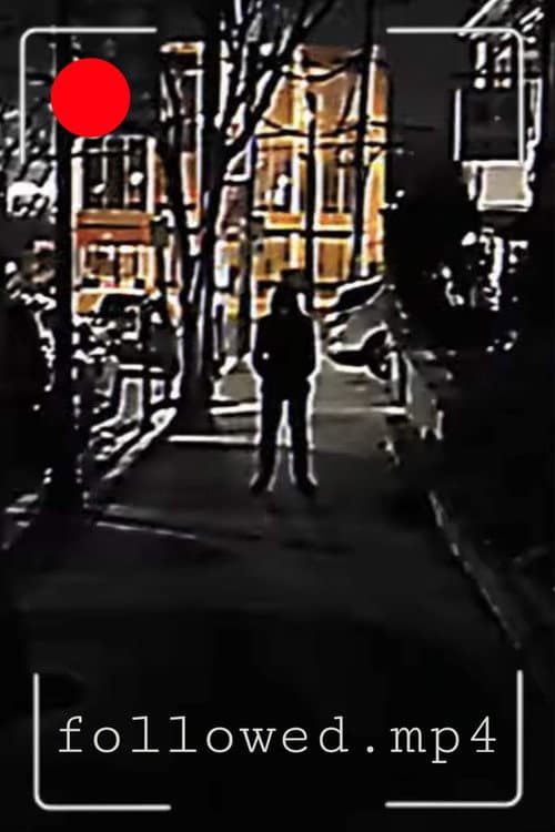 followed.mp4 (2023) movie poster
