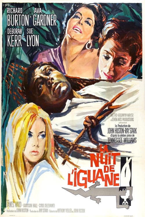 Affiche du film The Night of the Iguana (1964)