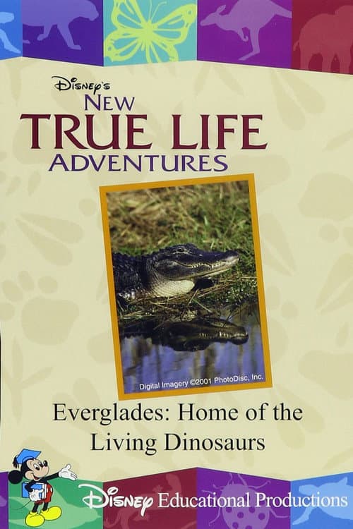 Everglades: Home of the Living Dinosaurs (2000) movie poster