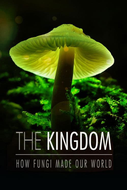 ملصق فيلم The Kingdom: How Fungi Made Our World (2018)
