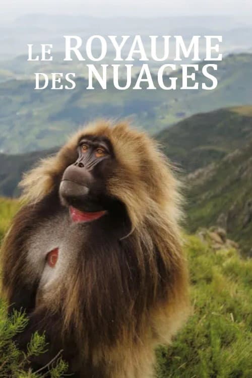 Affiche du film Le royaume des nuages (2026)