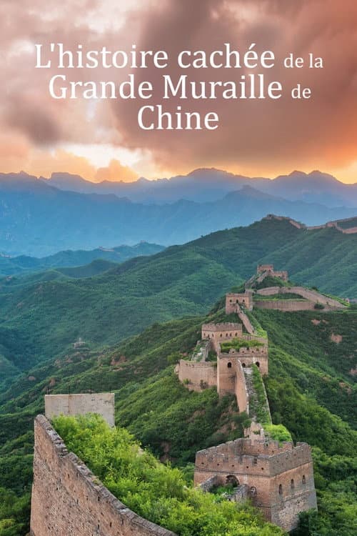 Affiche du film The Great Wall of China: The Hidden Story (2014)