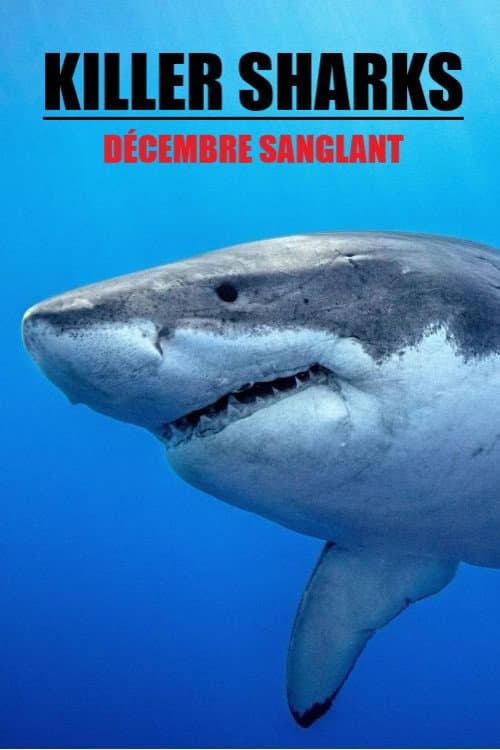 Affiche du film Killer Sharks: The Attacks of Black December (2011)