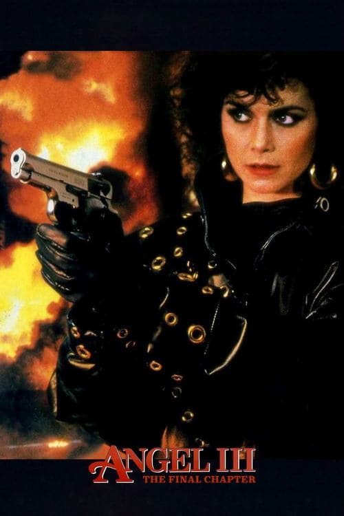 Angel III: The Final Chapter (1988) movie poster