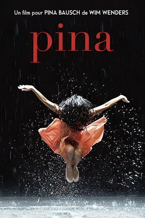 Affiche du film Pina (2011)