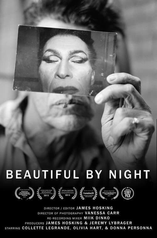 ملصق فيلم Beautiful by Night (2014)