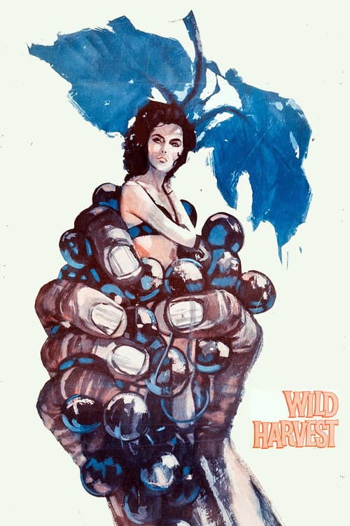 Affiche du film Wild Harvest (1962)