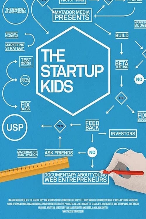 The Startup Kids (2012) movie poster